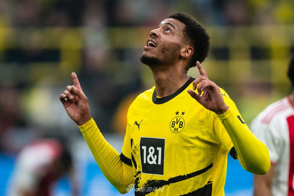 但多数未能 但多数未能